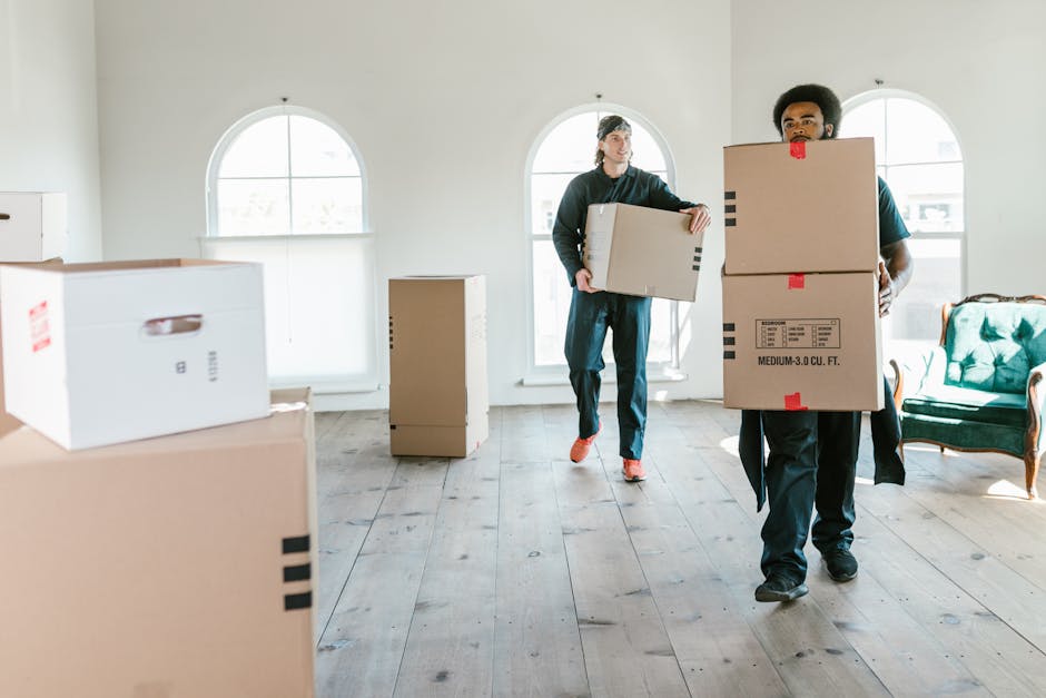 Two movers carrying boxes in a sunlit room, ready to assist with relocation.